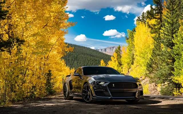 Photo of Castle Rock Ford Service, an auto repair shop in Castle Rock, CO