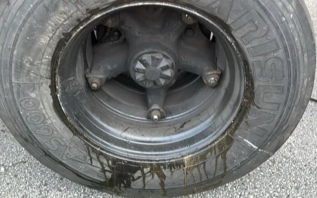 Photo of Quality Lugo Services, an auto repair shop in Brandon, FL