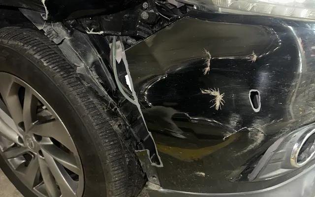 Photo of Caliber Collision, an auto repair shop in Ankeny, IA