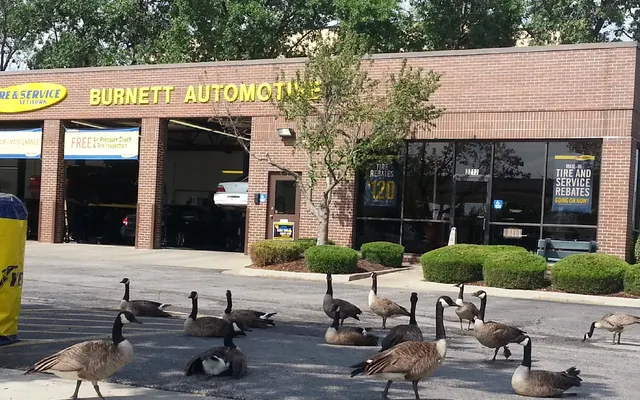 Photo of BURNETT AUTOMOTIVE, an auto repair shop in Lenexa, KS