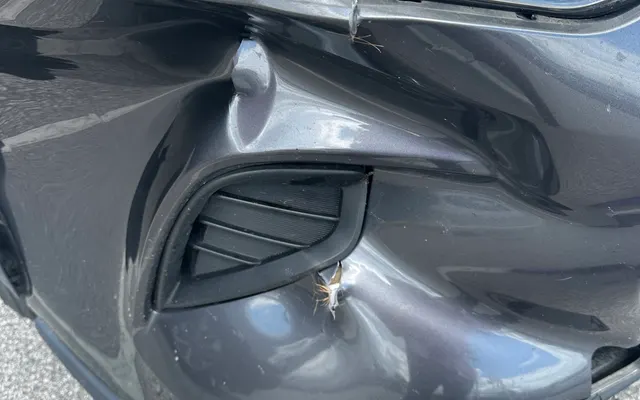 Photo of Caliber Collision, an auto repair shop in Fayetteville, NC