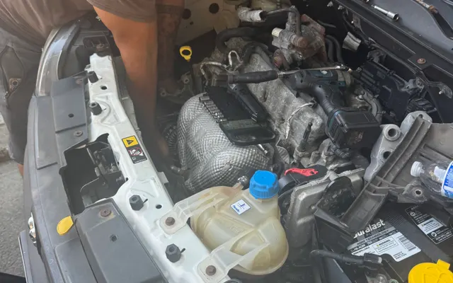 Photo of Andry Mobile Mechanic, an auto repair shop in Bronx, NY