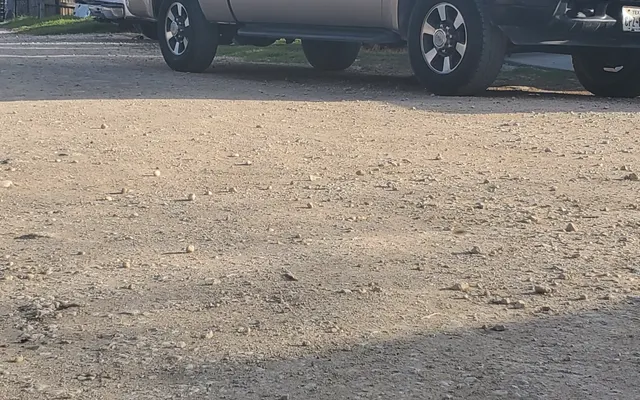 Photo of All Out Diesel Performance, an auto repair shop in Cibolo, TX
