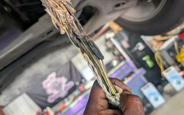 Photo of Randy's Reliable Auto, an auto repair shop in Red Oak, TX